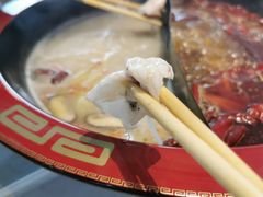 洪湖大斑鱼-京门活鱼馆·鱼火锅(百子湾（原红庙）店)