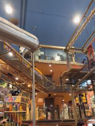 -卡通尼·Safari非洲探索乐园·生日会(金桥国际商业广场店)