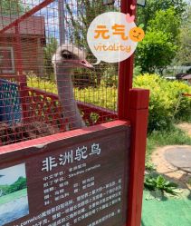 -萌宠亲子动物乐园(槐房万达店)