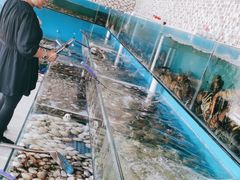 -港畔赶海蒸汽海鲜烧烤自助(仙螺岛店)