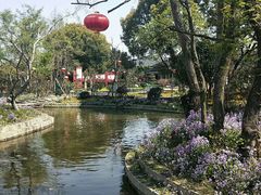 -桃花岛景观公园