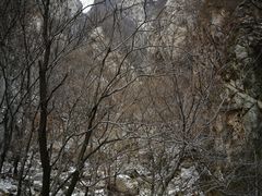 -嵩山少林文化旅游景区