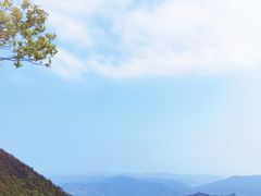 -梧桐山风景名胜区