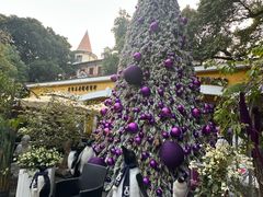 -火车头法国西餐厅