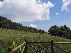 -野三坡百草畔景区