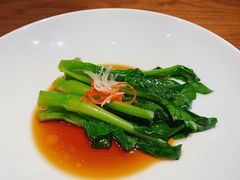 玉琅玕-觀芷隐轩