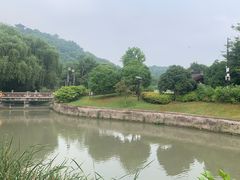 -绍兴镜湖国家城市湿地公园