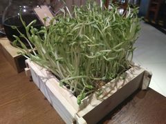 -十二舍·湯物素煮(江泰潤政店)