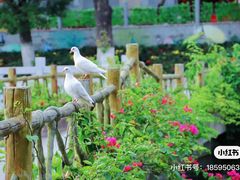 -东莞观音山旅游风景区