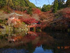 -醍醐寺