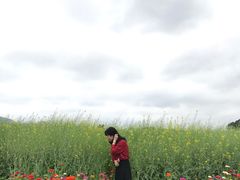 -光明小镇欢乐田园