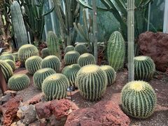 -昆明植物园