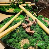 桂满陇的酒仙猪肝是真下饭啊[笑脸]