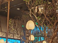 -桂满陇·海市蜃楼·黑金(国金店)