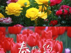 -徐家汇公园