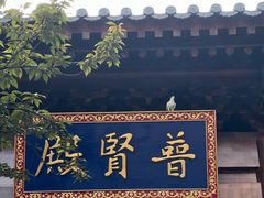 -西安大兴善寺