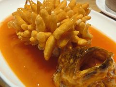 -赤宴·川菜(玉林店)