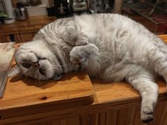 -隅cafe(傅厚岗店)