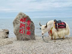 -青海湖国家重点风景名胜区
