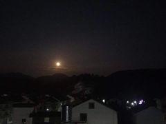 -咬不得高祖生煎·简餐(天城商业中心店)