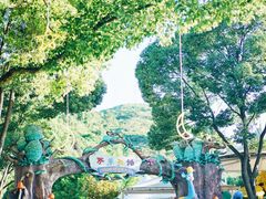 -温州乐园