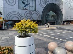 -万达广场(松江店)