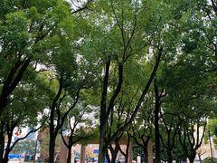 -上海市龙华烈士陵园