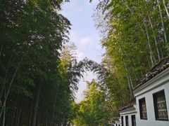 -求雨山文化公园