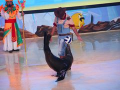 -三亚海昌梦幻海洋不夜城