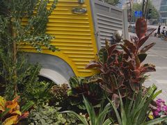 -PlantsEatery·植物食堂(REX春熙店)