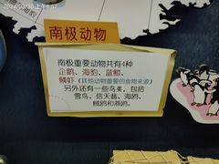 -海合安青岛极地海洋公园