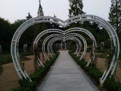 -昆山城市生态森林公园