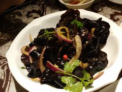 -新疆伏拉沃餐厅(白龙南路店)