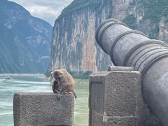 -白帝城·瞿塘峡景区