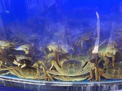 -蟹状元大闸蟹·年货·粽子(成都成华店)