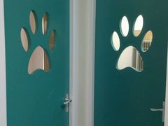 犬病房-瑞派·关忠动物医院·异宠专科·犬猫肿瘤·皮肤专科(望京店)