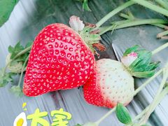 -长廊欢乐园