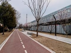-五道口(地铁站)