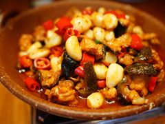 红煨娃娃鱼-印象鲵宴·张家界地标美食名片(溪布街店)