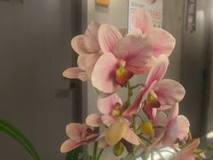 -施奈儿.洗头頭療.按摩SPA.采耳(上梅林店)