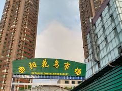 -曲阳花鸟市场(曲阳路店)