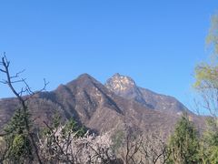 -太平万花山景区