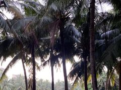 -白沙门生态公园