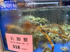 -骏丰酒楼(黄编店)
