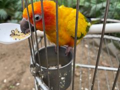 -南宫五洲植物乐园