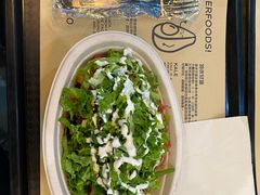 -油梨树 AVOCADO TREE(亮马桥店)