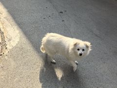 -十三辕·西安面庄(美院店)