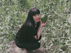 -庞各庄西瓜蔬菜采摘园·锦华瓜园