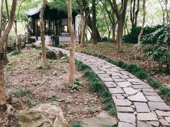 -秋霞圃