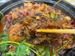 麻辣鲶鱼煲-川香煲(茅台路店)